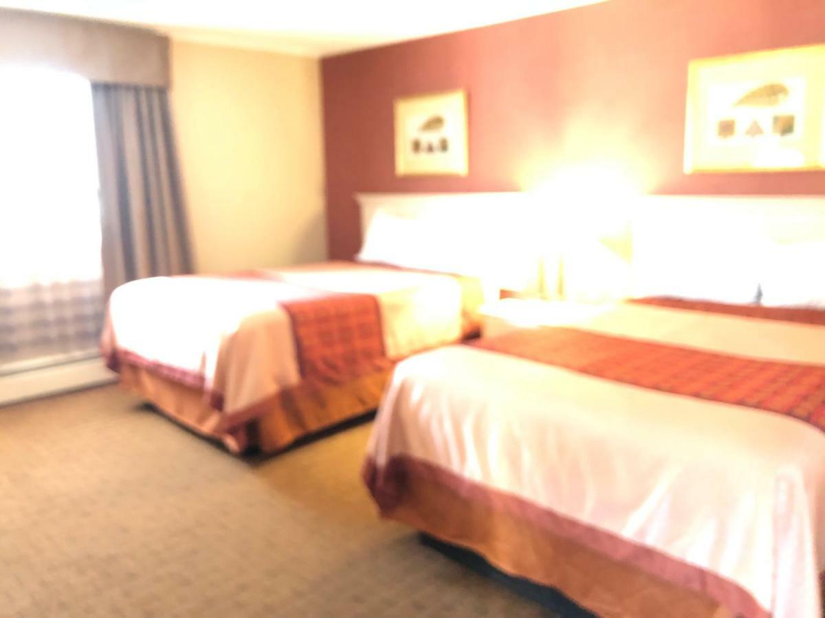 Wilbraham Inn Ludlow エクステリア 写真
