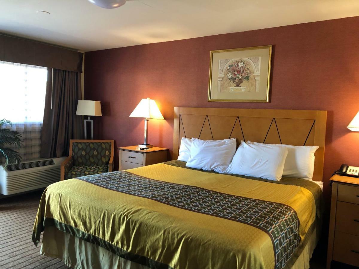 Wilbraham Inn Ludlow エクステリア 写真