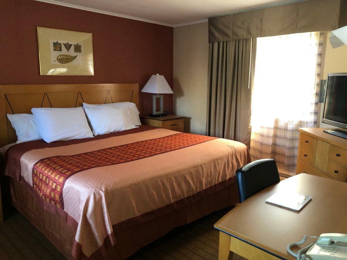Wilbraham Inn Ludlow エクステリア 写真